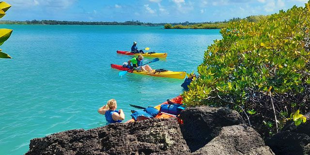Kayaking trip dambre island half (7)